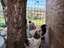 Immagine 5