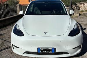 Tesla Model Y Longe Range