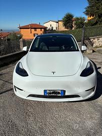 Tesla Model Y Longe Range