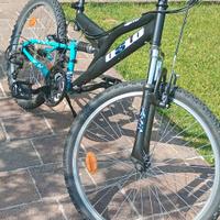 bicicletta