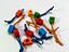 Immagine 2