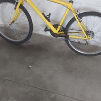 bicicletta ruote 26