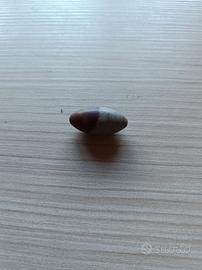Pietra di Shiva Lingam