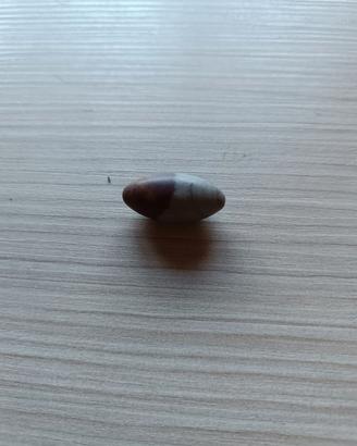 Pietra di Shiva Lingam