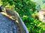 Immagine 19