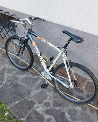 bici MTB 