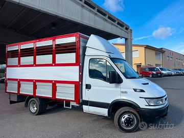 Iveco Daily 35c13 trasporto animali patente B