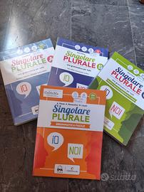 singolare plurale 