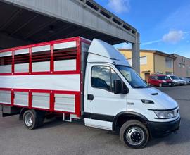 Iveco Daily 35c13 trasporto animali vivi patente B