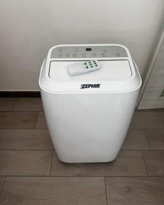 Climatizzatore/pompa di calore