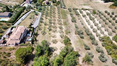 TER. AGRICOLO A CIVITELLA SAN PAOLO