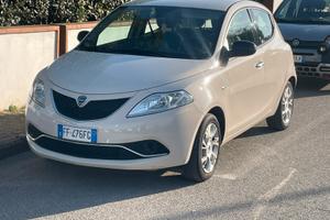 ypsilon perfetta