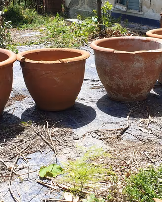 Vasi di terracotta