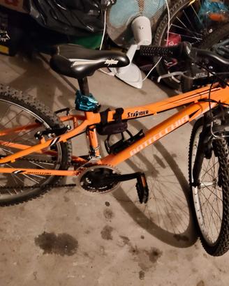 Mountain bike Bottecchia 24''