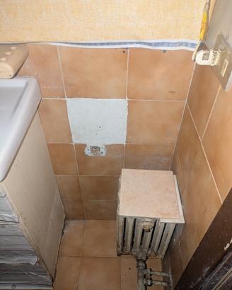 termosifone ghisa "porcellino"