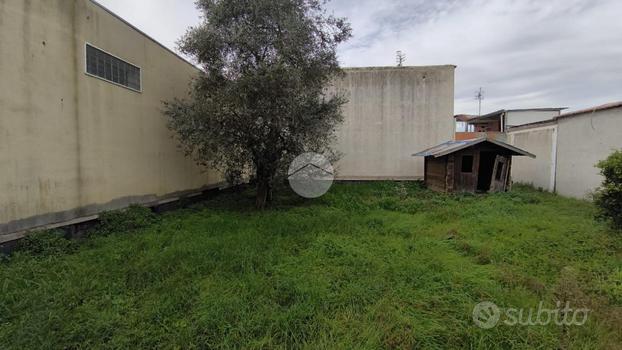 TER. AGRICOLO A NAPOLI