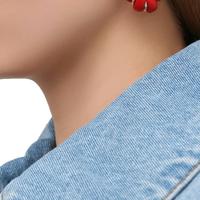 Orecchini di Bottega Veneta