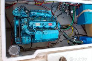 Arvor 215 con 40hp diesel entrobordo