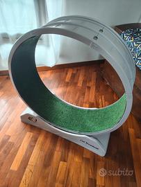 ruota per gatti