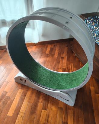 ruota per gatti