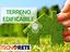 Immagine 21