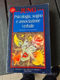 Jung psicologia sogno e associazione verbale 
