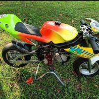 minimoto DM motore Polini 4.2
