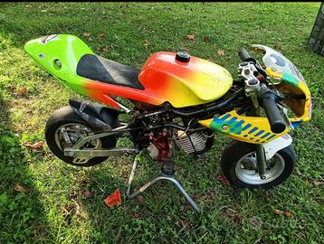 minimoto DM motore Polini 4.2