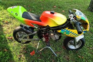 minimoto DM motore Polini 4.2
