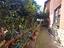 Immagine 12