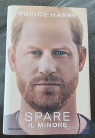SPARE IL MINORE PRINCE HARRY