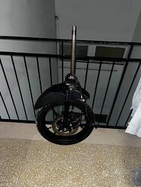 forcella liberty 50 s iget