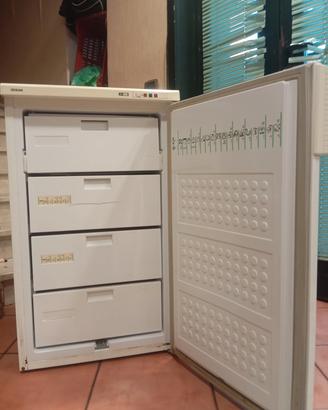 congelatore 