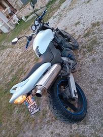 Honda hornet cb600f
