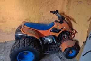  mini quad