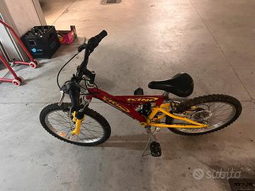 Bicicletta Vicini