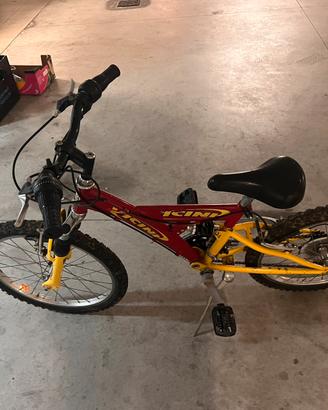Bicicletta Vicini