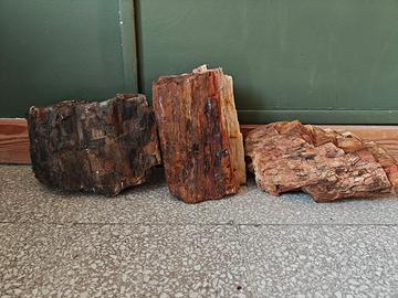 Rocce e legni per acquari