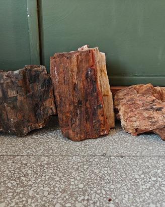 Rocce e legni per acquari