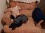 Immagine 5
