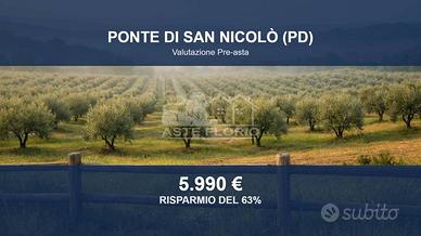 Immobile in asta di 5292 m² a Ponte