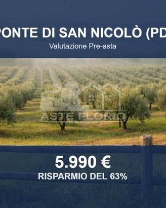 Immobile in asta di 5292 m² a Ponte
