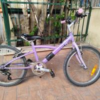 Bicicletta Mistigri Decathlon ruota 20.