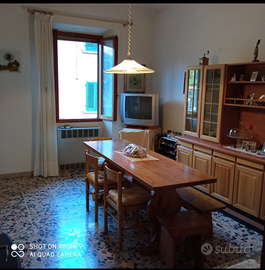 Ampio appartamento con taverna e terreno