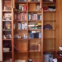 Mobile Libreria con ante