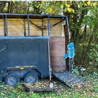 Trailer Turatello - rimorchio cavalli patente B