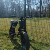 ebike