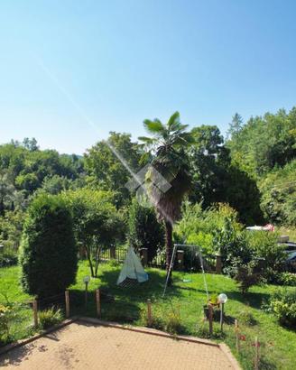 5 LOCALI A RIVALBA