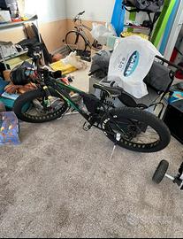 Fat bike