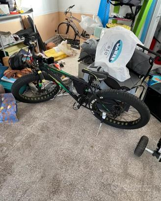 Fat bike